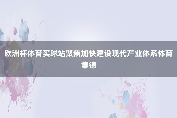 欧洲杯体育买球站聚焦加快建设现代产业体系体育集锦