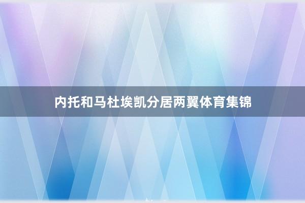 内托和马杜埃凯分居两翼体育集锦