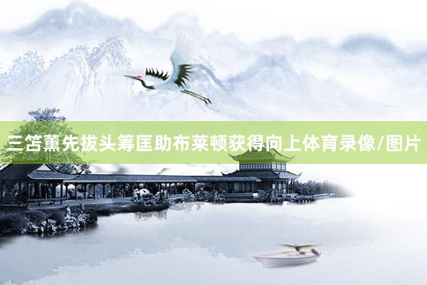 三笘薫先拔头筹匡助布莱顿获得向上体育录像/图片