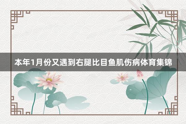 本年1月份又遇到右腿比目鱼肌伤病体育集锦