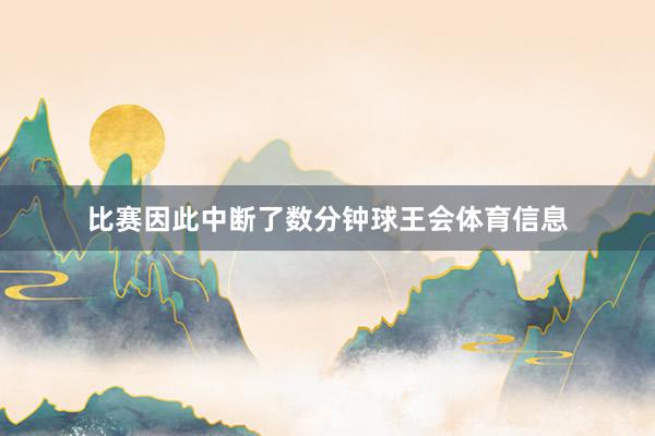 比赛因此中断了数分钟球王会体育信息