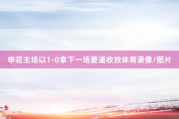 申花主场以1-0拿下一场要道收效体育录像/图片