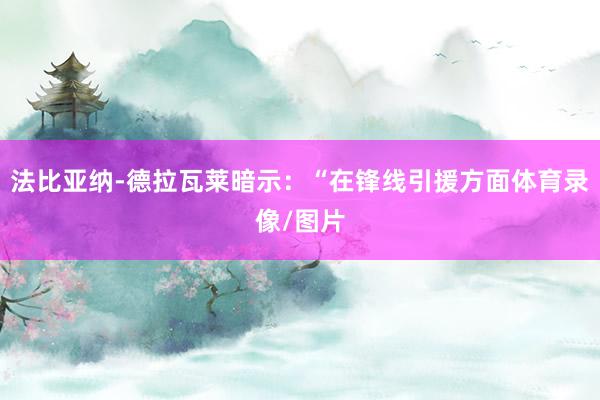法比亚纳-德拉瓦莱暗示：“在锋线引援方面体育录像/图片